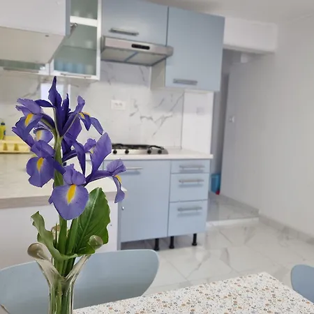 Komfortables In Und Nur 500 Meter Zum Mit Privater Terrasse Apartment